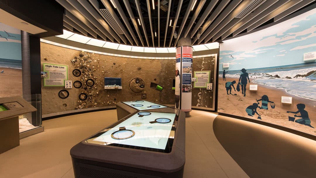 The National Aquarium in Baltimore kubik maltbie