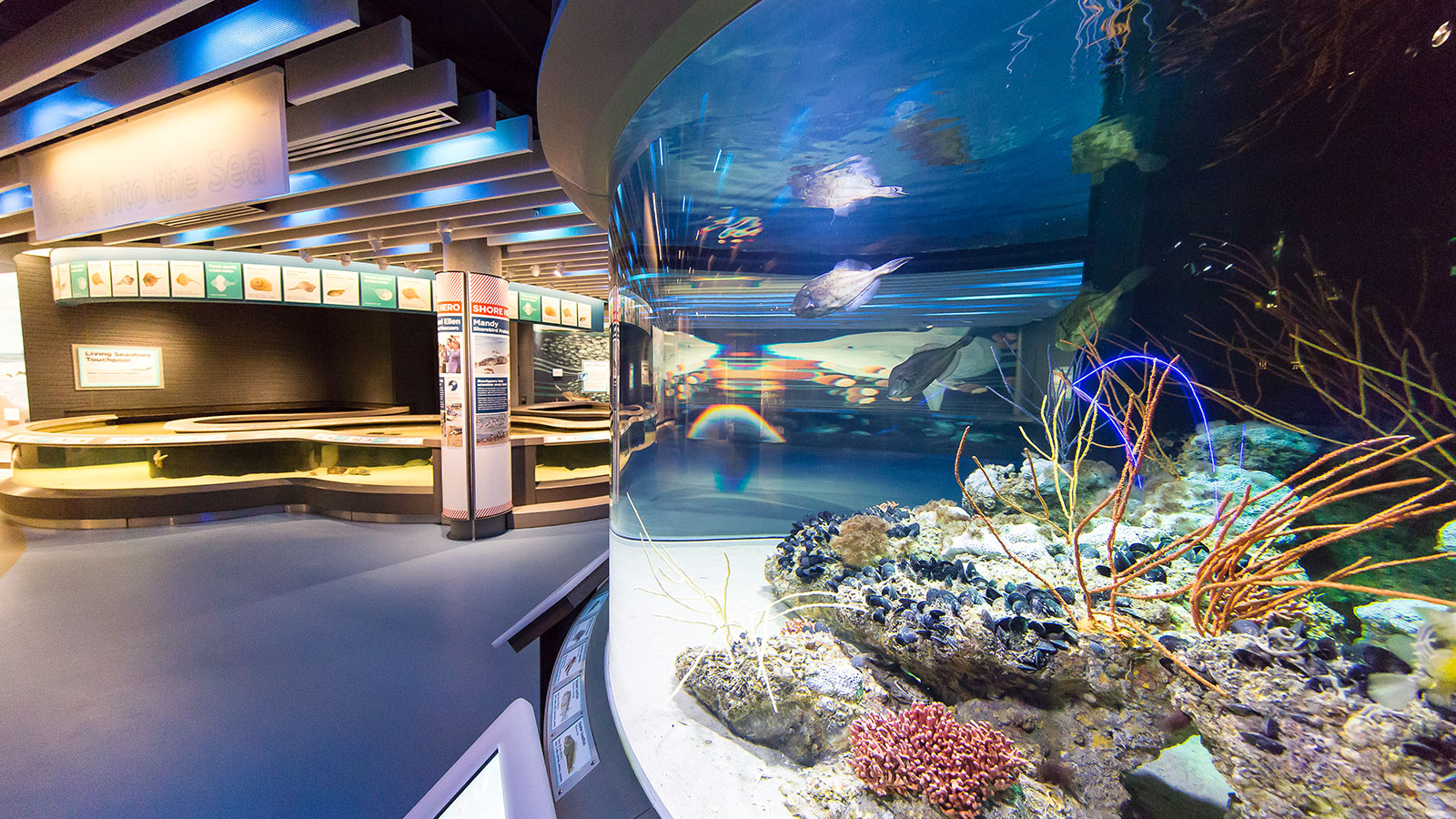 The National Aquarium in Baltimore, Living Seashore Museum , Baltimore