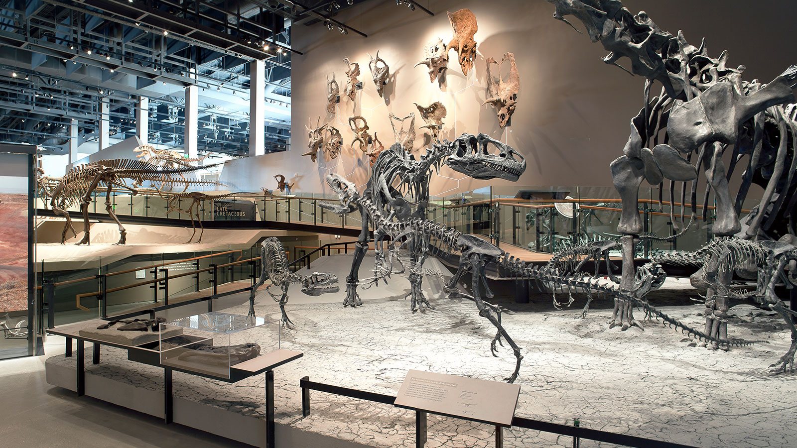 Natural History Museum of Utah Museum , Salt Lake City