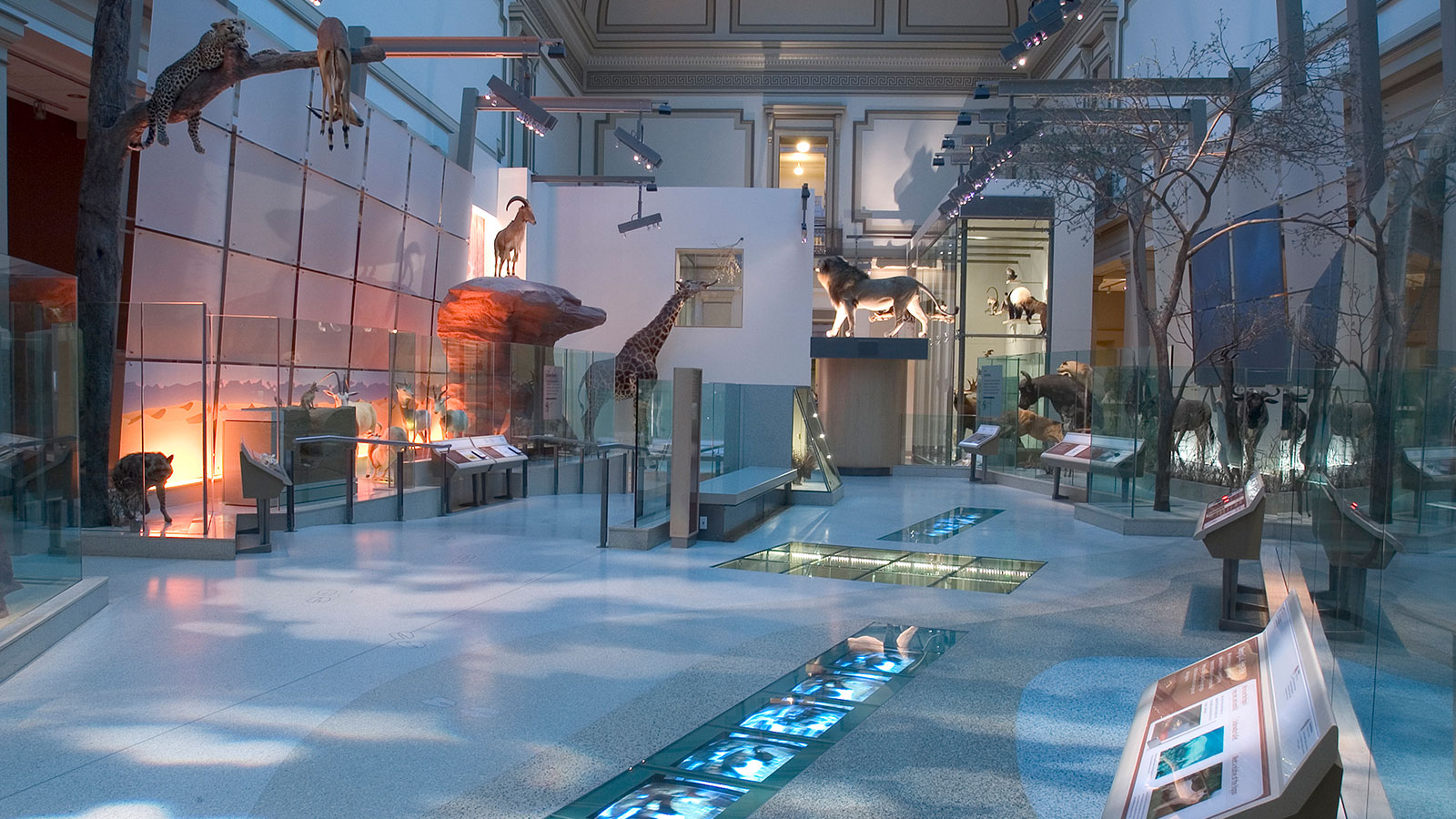 Institution’s National Museum of Natural History Museum
