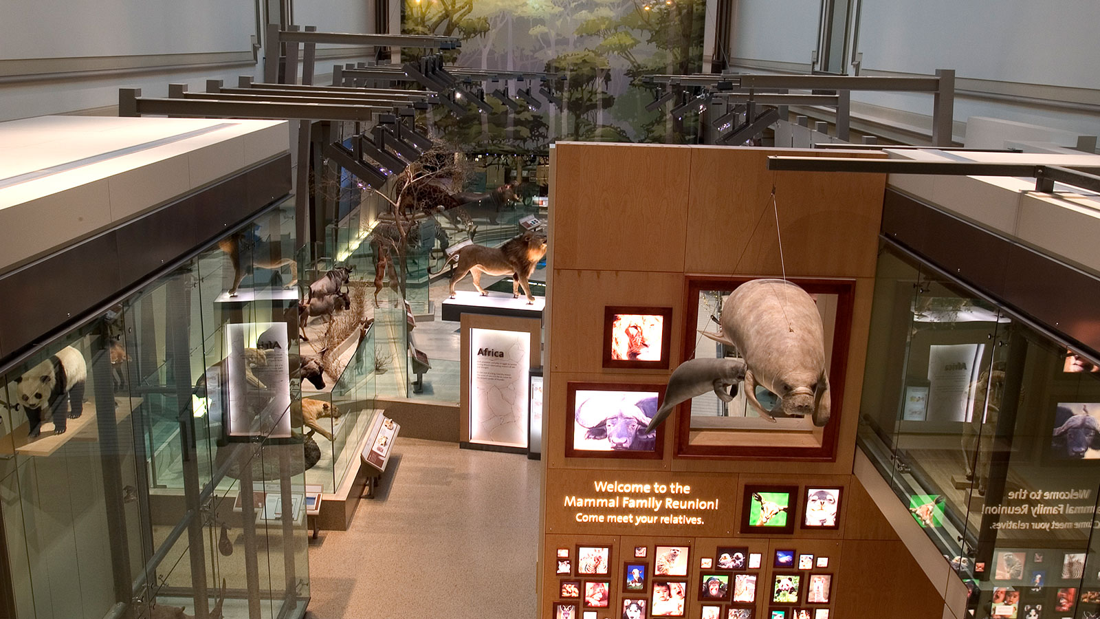 Institution’s National Museum of Natural History Museum