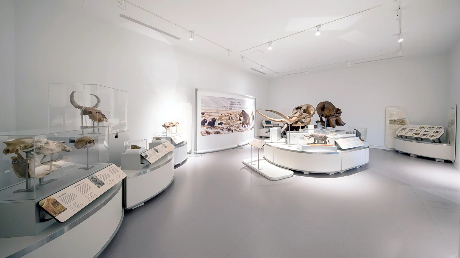 Philip J. Currie Dinosaur Museum, WEMBLEY