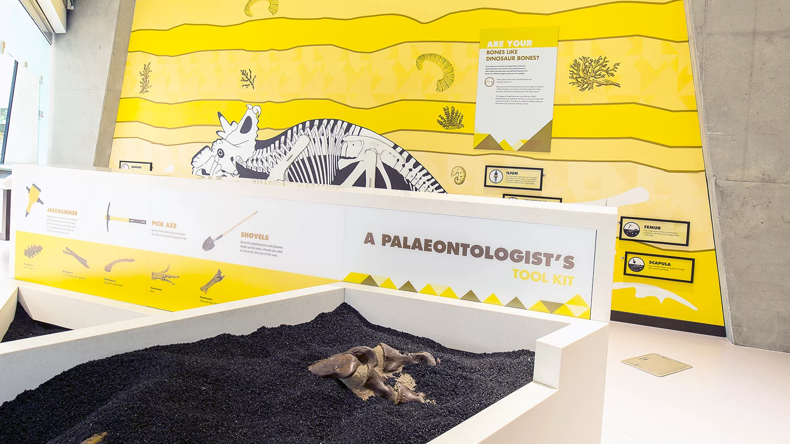 Philip J. Currie Dinosaur Museum, WEMBLEY