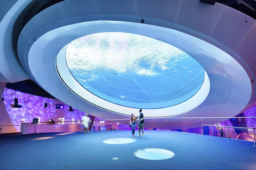 New Exhibition Opens at the Phillip and Patricia Frost Museum of Science.